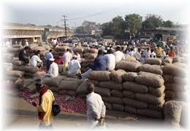 Ten thousand farmers in Nanded district have left the pigeon | नांदेड जिल्ह्यात दहा हजारांवर शेतकऱ्यांकडे तूर शिल्लक